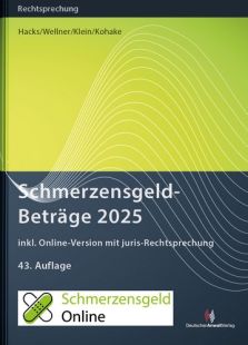 SchmerzensgeldBeträge 2025